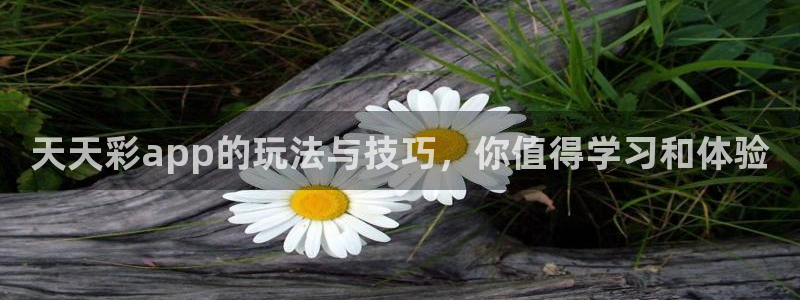 k8凯发·娱乐(中国)首页登录入口：天天彩app的玩法与技巧，你值得学习和体验