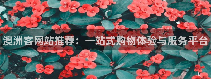 k8凯发·国际官方网站：澳洲客网站推荐：一站式购物体验与服务平台