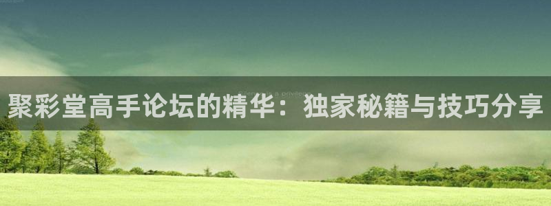 凯发k8官凯发k8官网：聚彩堂高手论坛的精华：独家秘籍与技巧分享